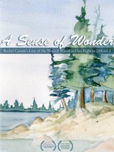 A Sense of Wonder ()  2008