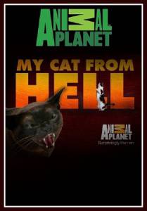  ( 2011  ...) My Cat from Hell 2011 (4 )