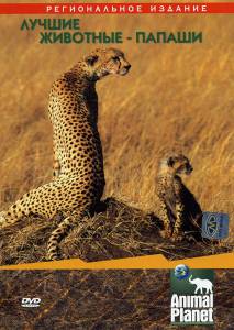 Animal Planet:  - () Ultimate Animals Dads 2004