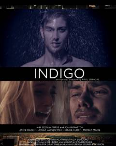  Indigo 2014