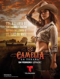    () Camelia La Texana 2014 (1 )