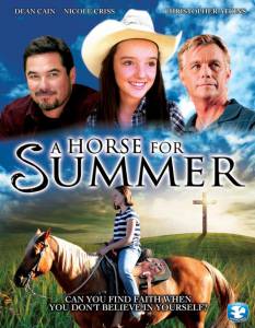    A Horse for Summer 2014