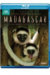   (-) Madagascar 2011 (1 )