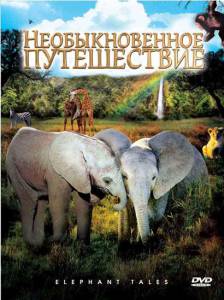  :     Elephant Tales 2006