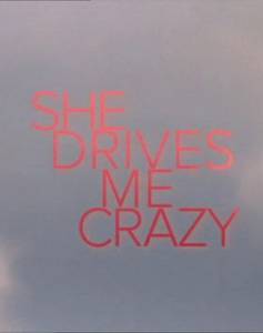      () She Drives Me Crazy 2007
