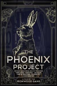   The Phoenix Project 2015