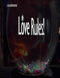    () Love Rules! 2004