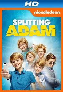   () Splitting Adam 2015