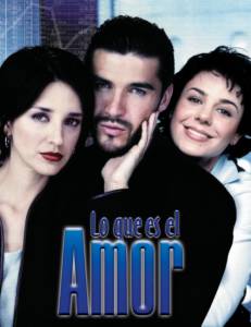 ,    ( 2001  ...) Lo que es el amor 2001 (1 )